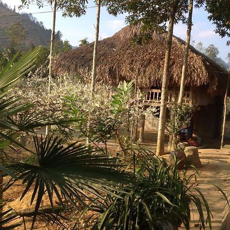 Апартаменти Sa House Bac Ha Екстер'єр фото
