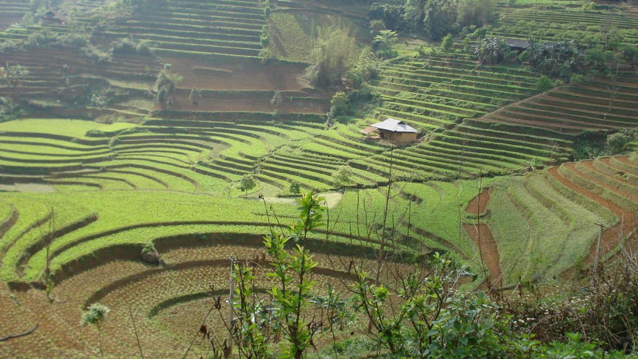 Апартаменти Sa House Bac Ha Екстер'єр фото