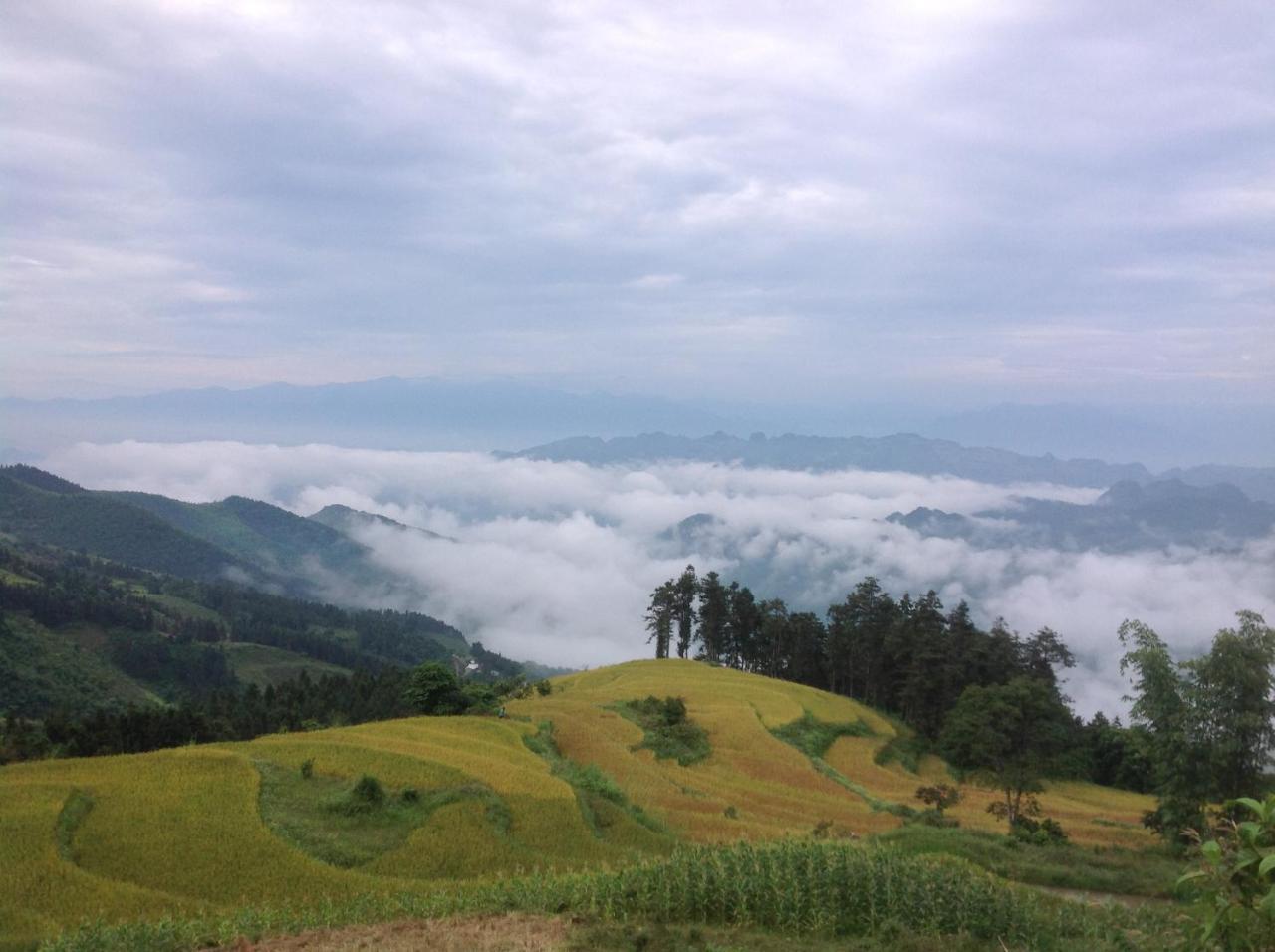 Апартаменти Sa House Bac Ha Екстер'єр фото