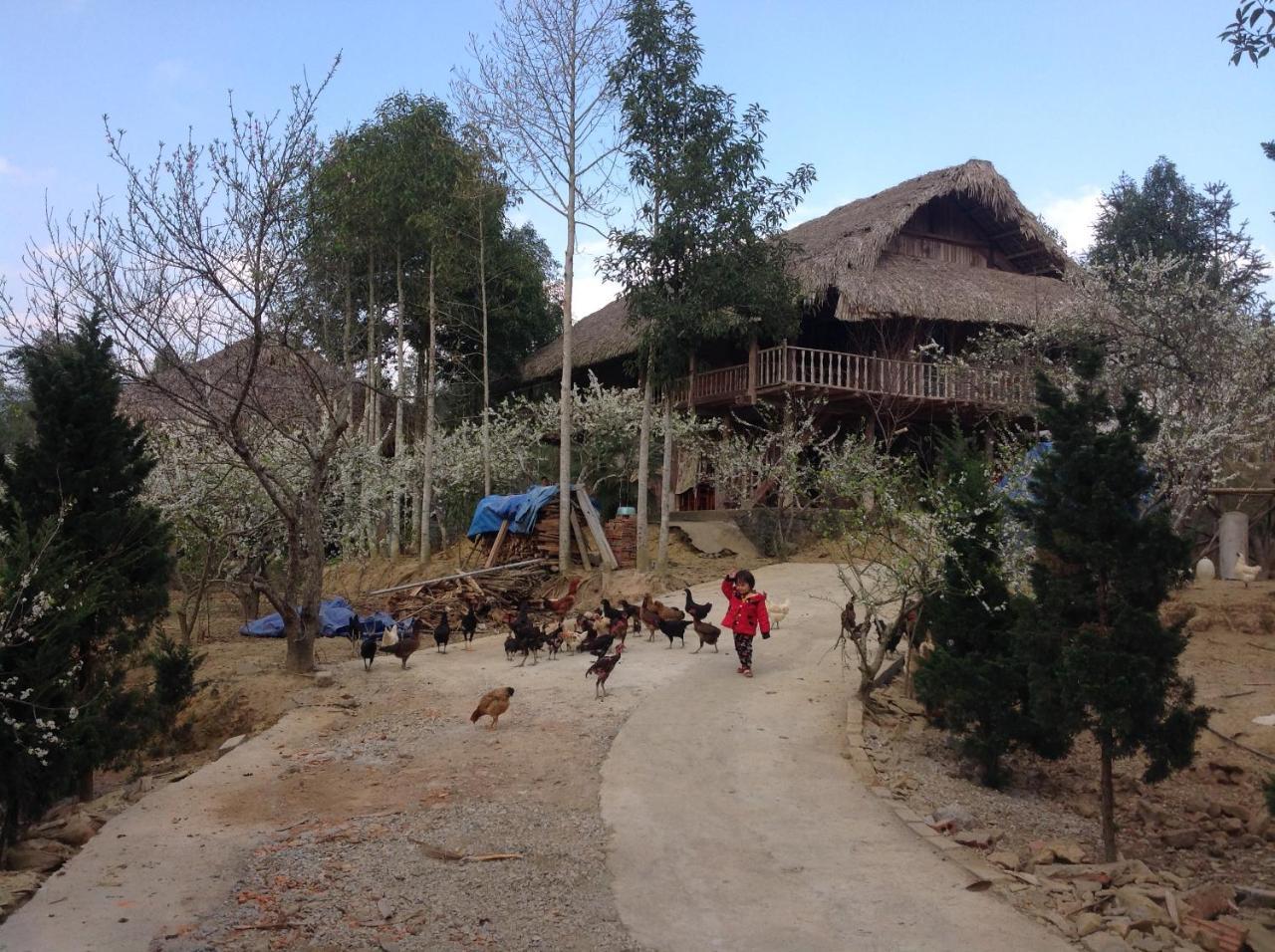 Апартаменти Sa House Bac Ha Екстер'єр фото